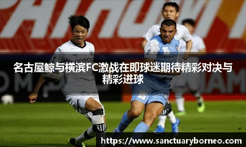 九游体育官方网站