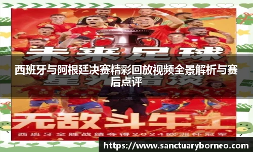 西班牙与阿根廷决赛精彩回放视频全景解析与赛后点评